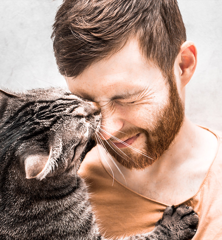 Gratitude Cat