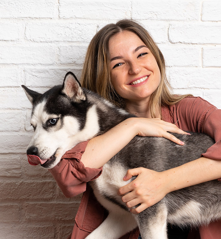 Shelter For Dogs